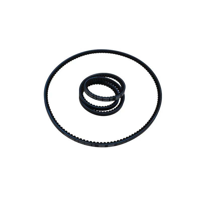 2203099918 OEM Abac V-BELT(SET 2X) Belts air compressor