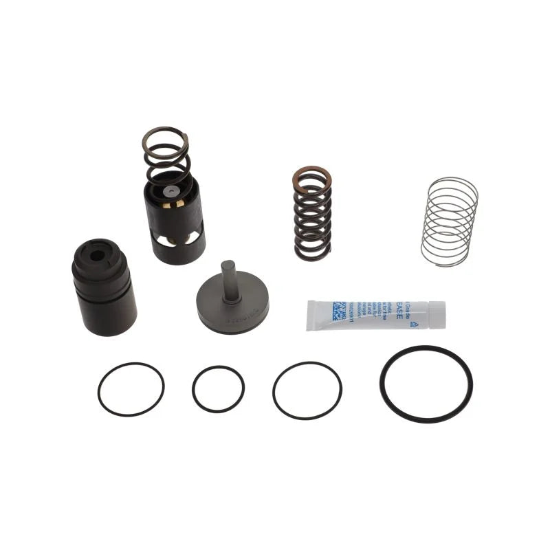MPV/THERM.VALVE KIT 8000H TROP MPV and Thermo Kits air compressor