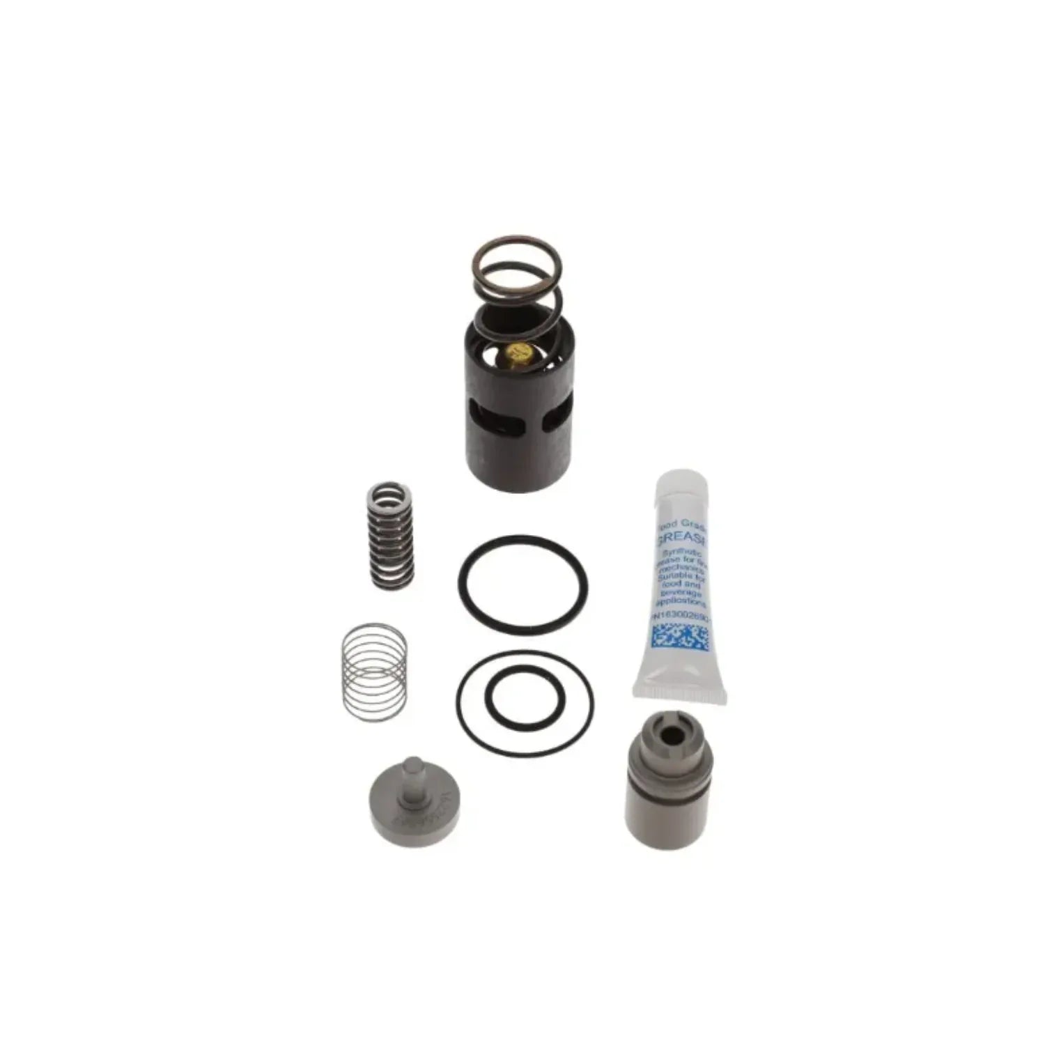 MPV and Thermo Kit | OEM MPV and Thermo Kits air compressor
