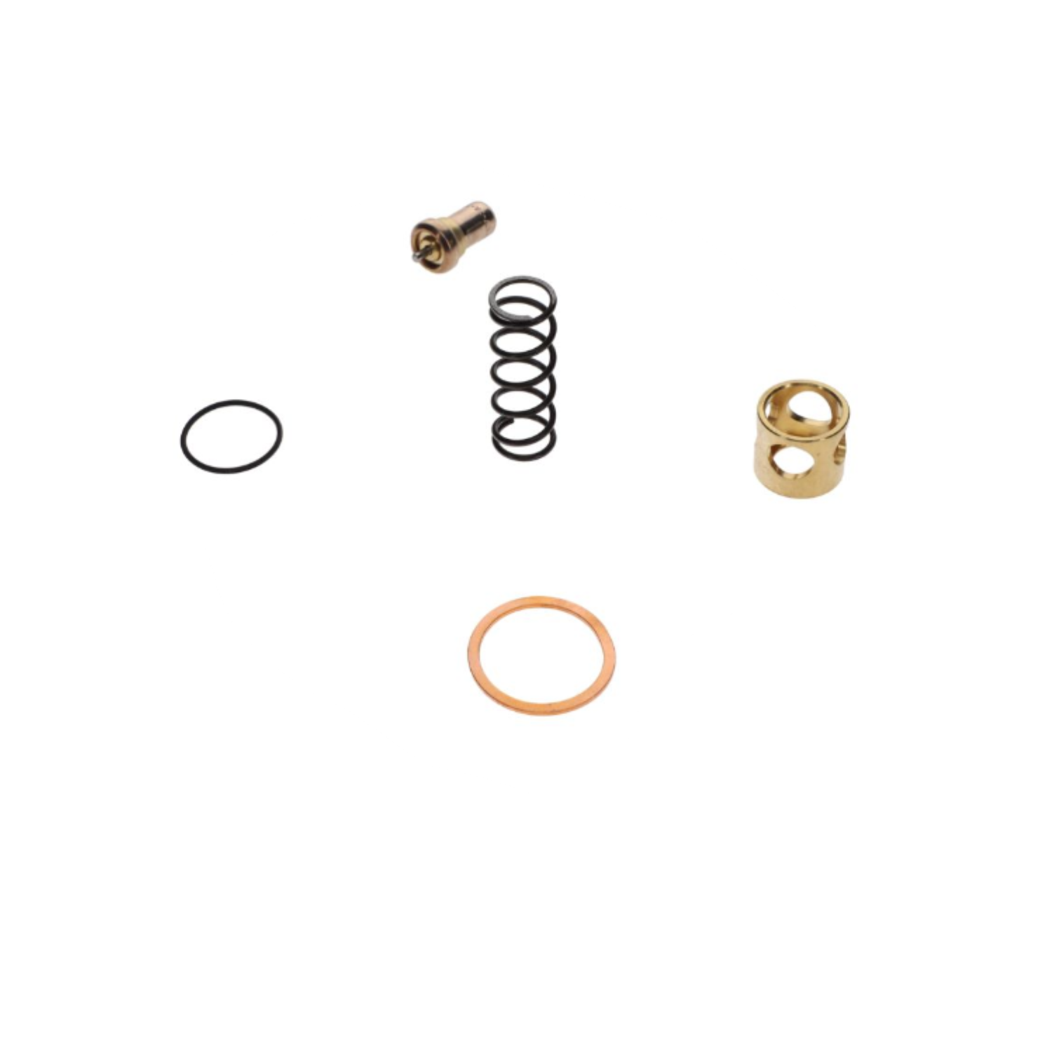 Thermo Kit | OEM MPV and Thermo Kits air compressor