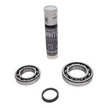 Bearing KITC90 A 180L(KBSYNTH) Service Parts air compressor