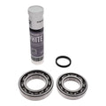 Bearing KITC90 A 200L(KBSYNTH) Service Parts air compressor