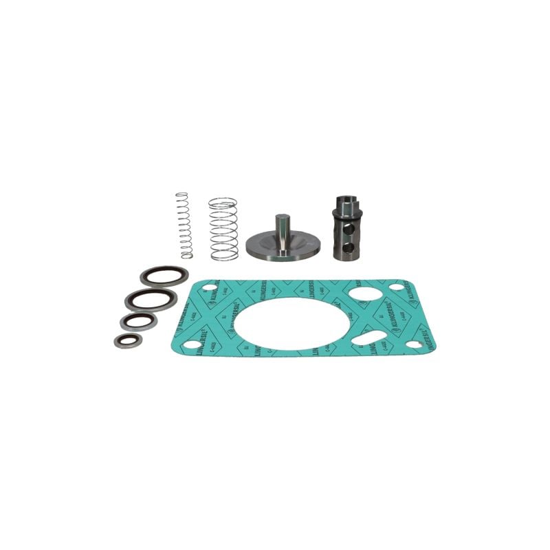 CV - OSV KIT FOR OIL Injected Screw Compressors Service Parts air compressor