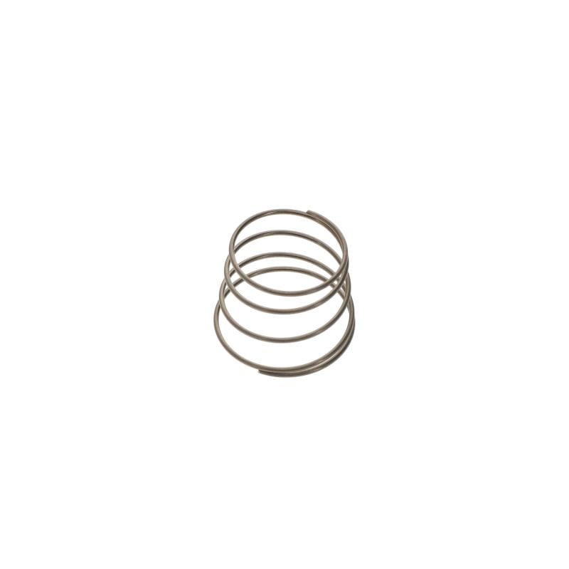 009602008-VALVE SEAT Spring