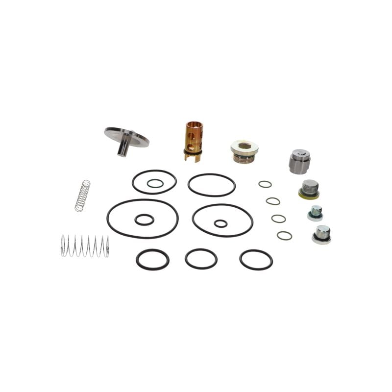 Osv/cv KIT C111 FOR OIL Injected Screw Compressors Service Parts air compressor