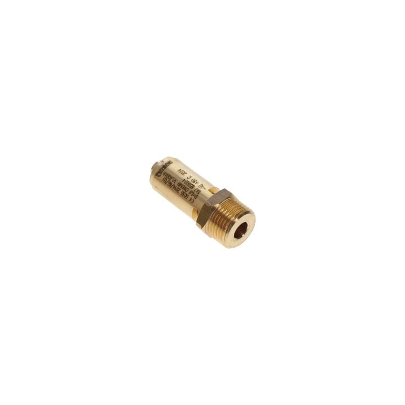 Safety Valve 3/8 10.4b Printed Safety Relief Valve air compressor