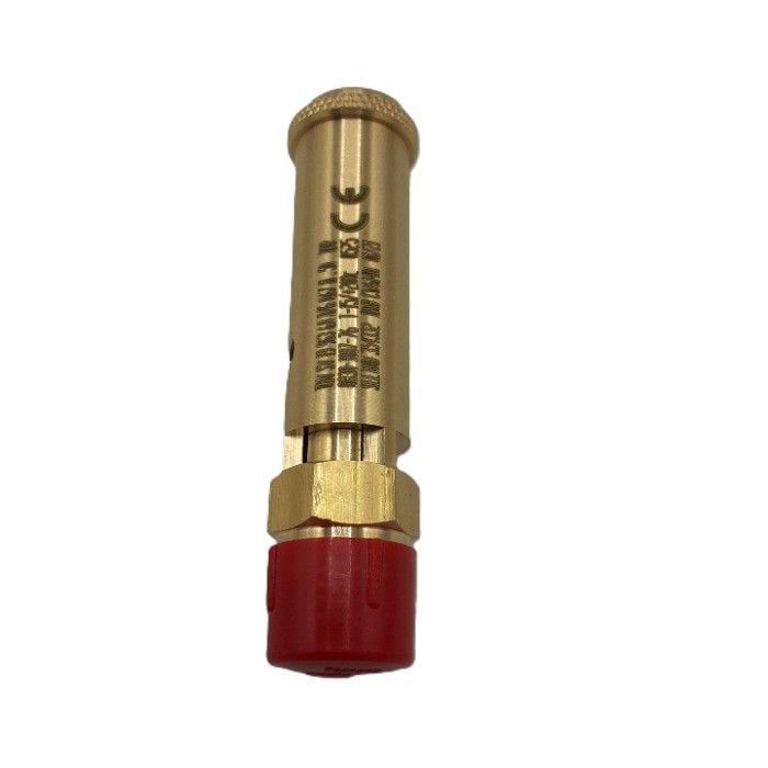 Safety Valve FOR OIL FREE Zr-zt Machines (0830100776) Safety Relief Valve air compressor