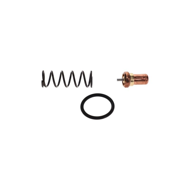 Maintenance set thermostat 65 MPV and Thermo Kits air compressor