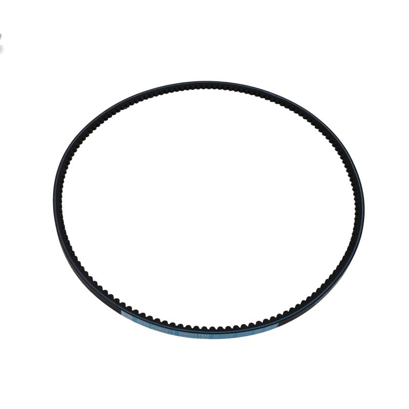 BELT SET 1087MM 1PCS FOR OIL FREE Scroll & WIS Machines Belts air compressor