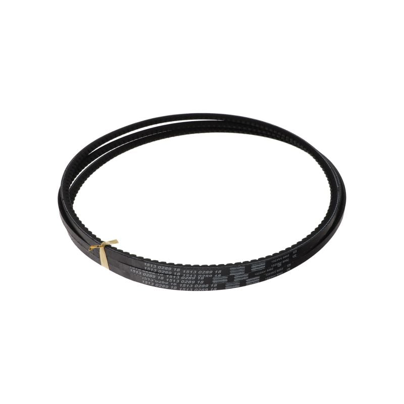 V-belt FOR OIL Injected Screw Compressor (2903102118) Belts air compressor