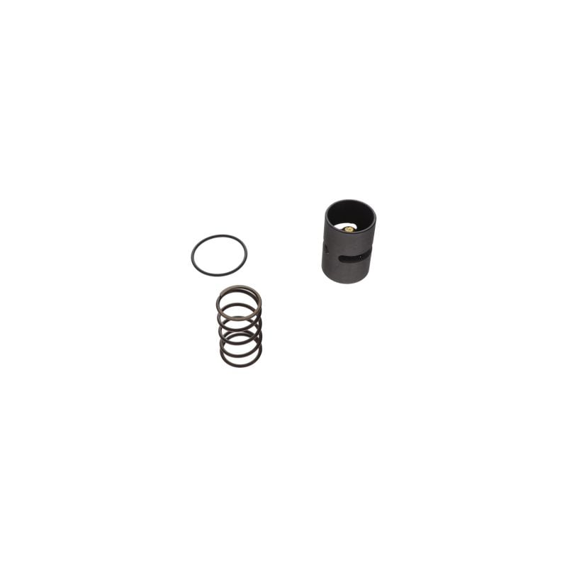 KIT Termo Vlv, X12037110010, 1 Service Parts air compressor