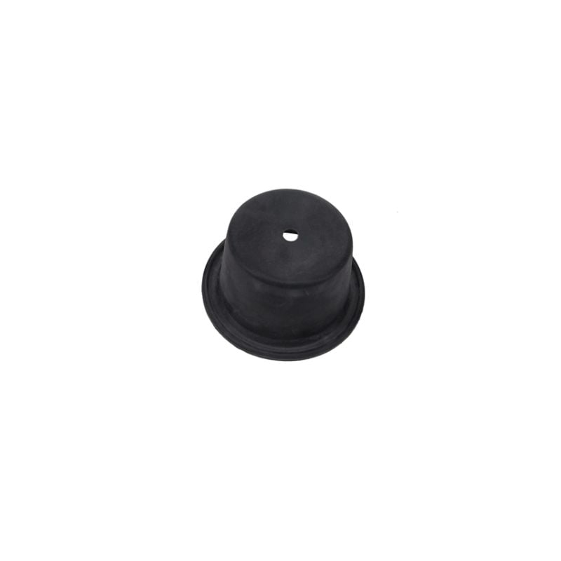 Roller Diaphr. (1613126811) Service Parts air compressor