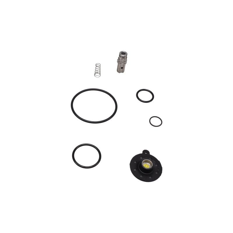 SET OF Wearing Parts FOR OIL FREE Zr-zt Machines Service Parts air compressor