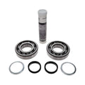 Bearing KIT C111-C146(KBSYNTH) Service Parts air compressor