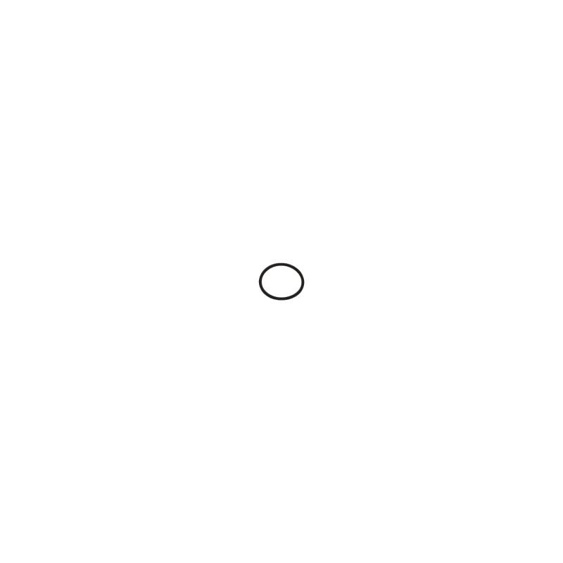 O-ring 20X2 Gaskets air compressor