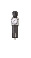 Filter Regulator 1/4" Female NPT FOR AIRnet Systems Airnet air compressor